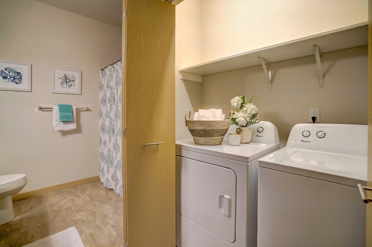 Gallery Photo 13